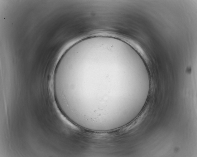 X0000102371247200808011016