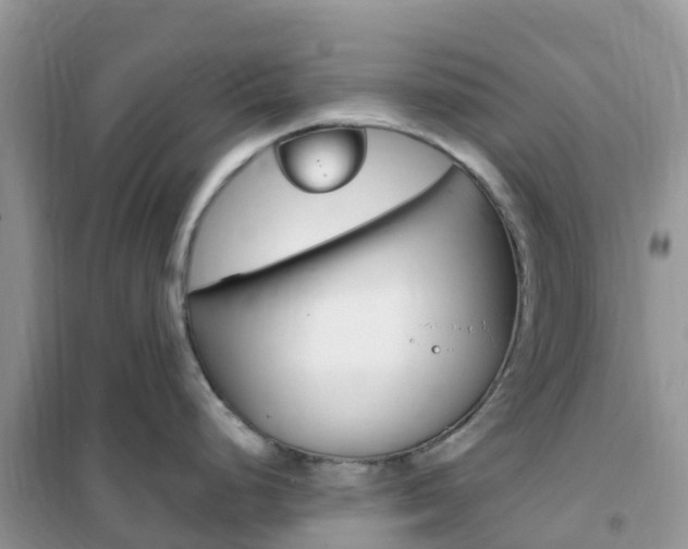 X0000102371248200808011016
