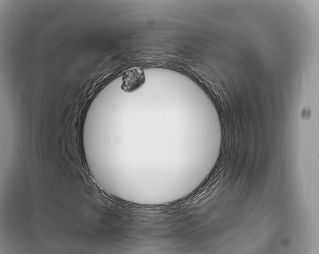 X0000102371249200808011015