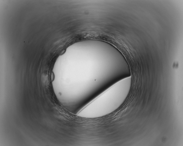 X0000102371250200808011015