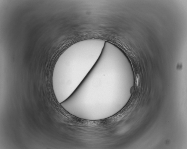 X0000102371251200808011015