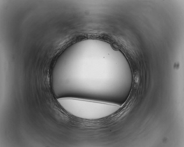 X0000102371252200808011015