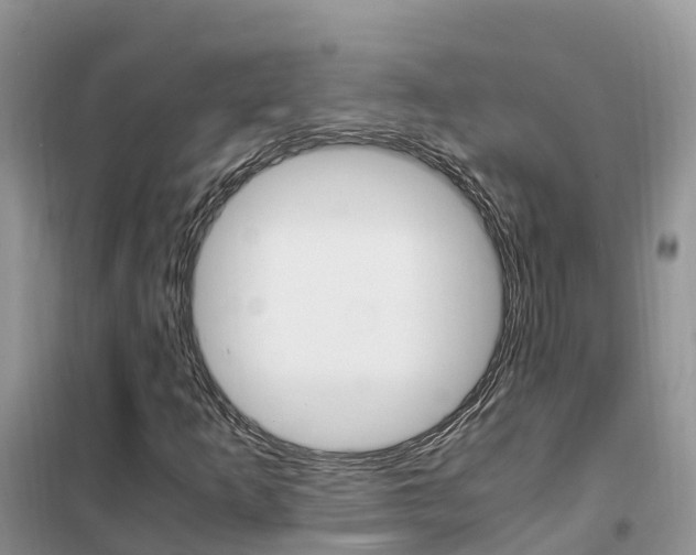 X0000102371253200808011015