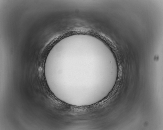 X0000102371254200808011015
