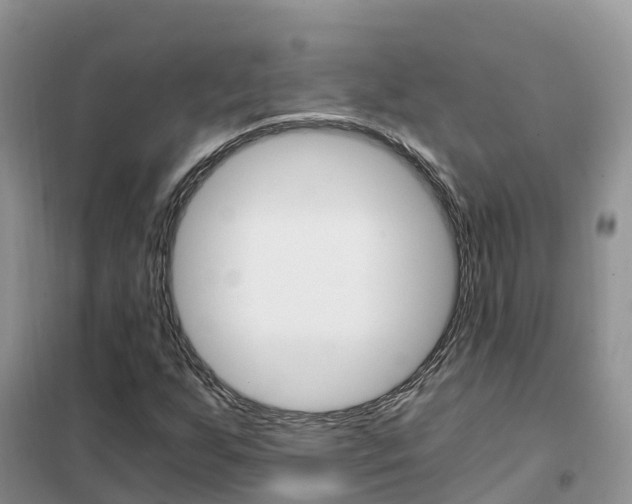 X0000102371255200808011015