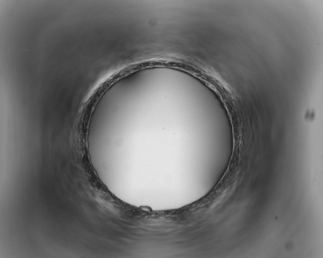 X0000102371256200808011015