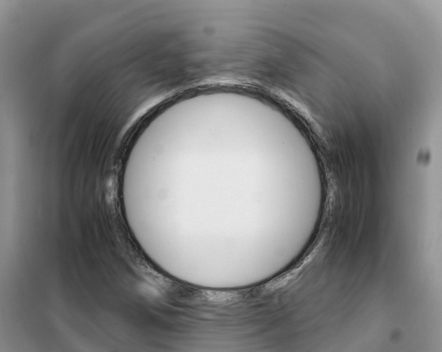 X0000102371258200808011015