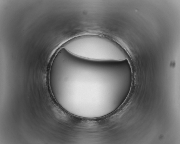 X0000102371260200808011015
