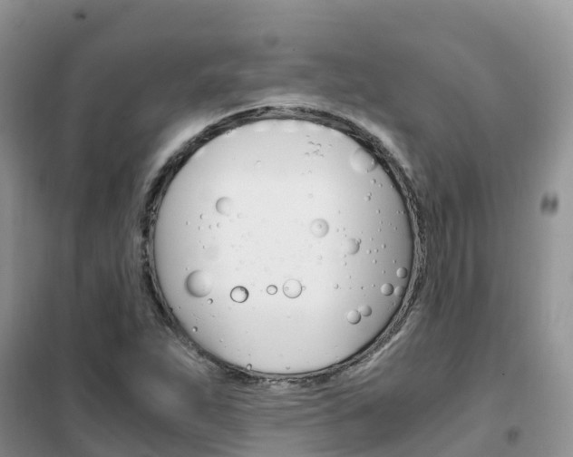 X0000102371263200808011015