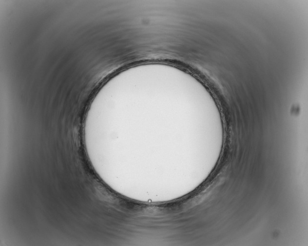 X0000102371265200808011015