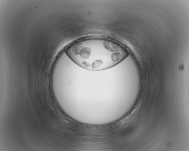 X0000102371267200808011015