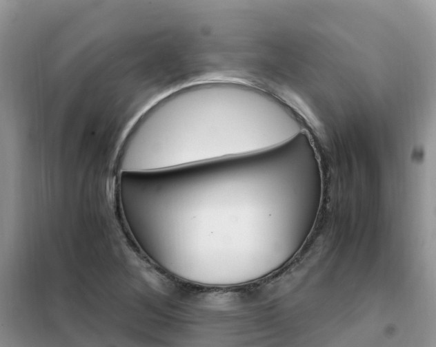 X0000102371268200808011015