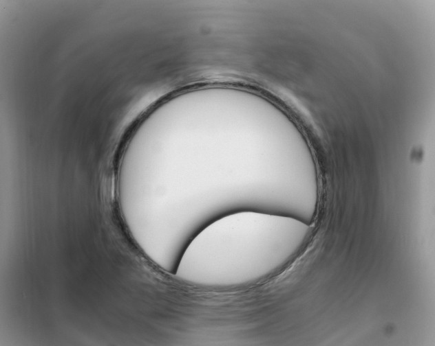 X0000102371269200808011015