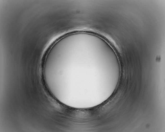 X0000102371270200808011015
