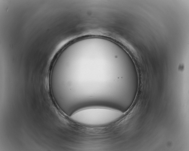 X0000102371272200808011015