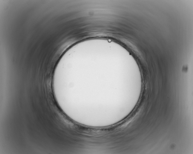 X0000102371273200808011015