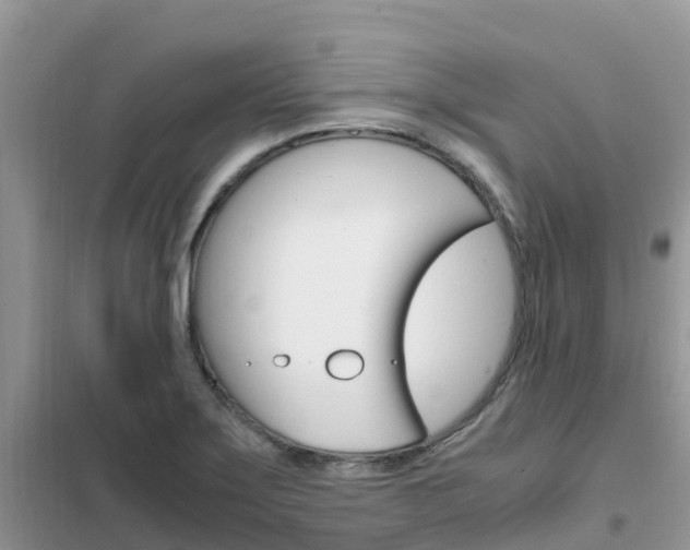 X0000102371275200808011015
