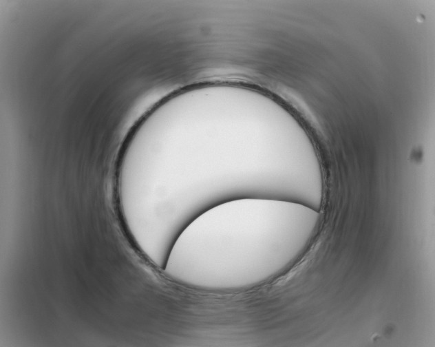 X0000102371277200808011015
