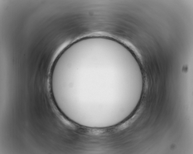 X0000102371278200808011015