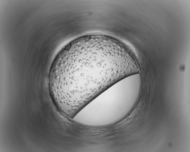 X0000102371279200808011015