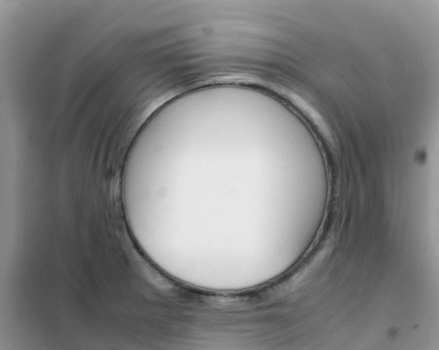 X0000102371281200808011015