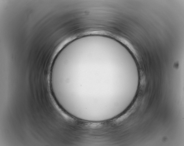X0000102371282200808011015