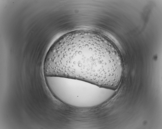 X0000102371283200808011015