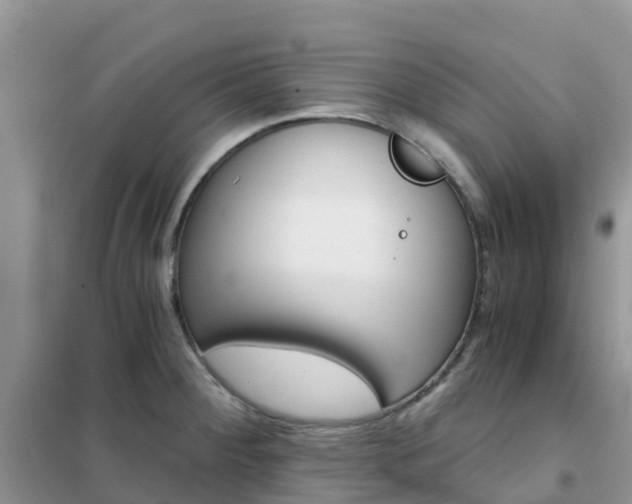 X0000102371284200808011015