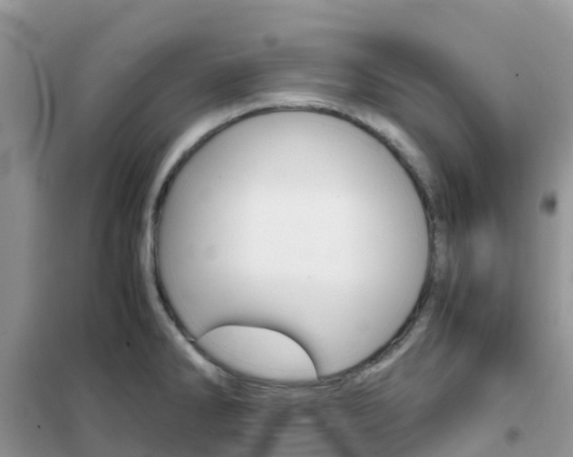 X0000102371286200808011015