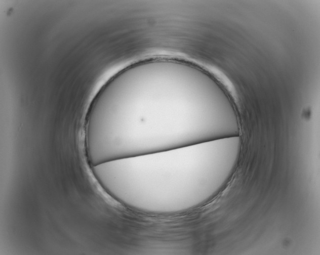X0000102371287200808011015