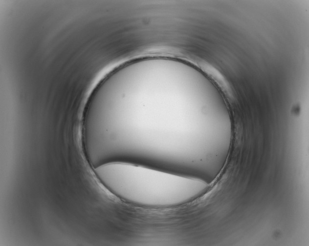 X0000102371288200808011015