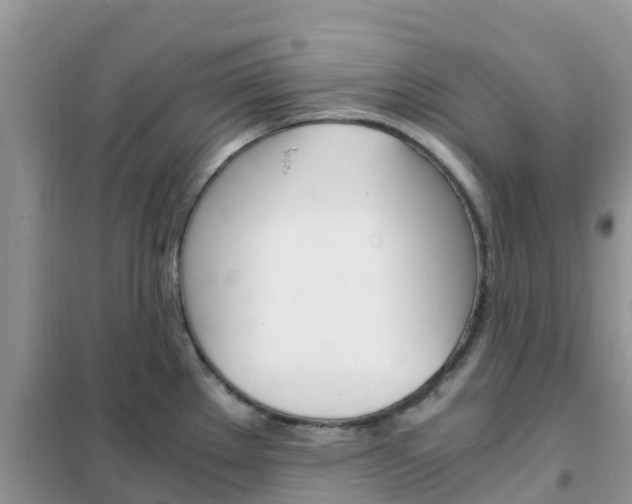 X0000102371289200808011015