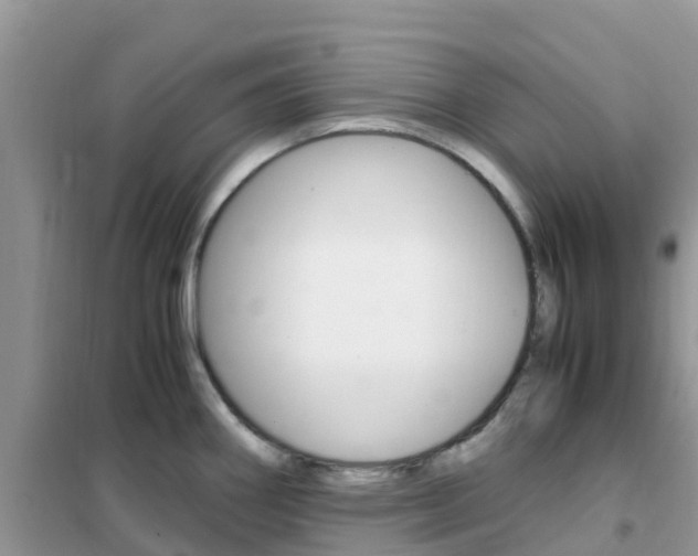X0000102371290200808011015