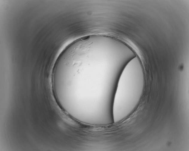 X0000102371291200808011015