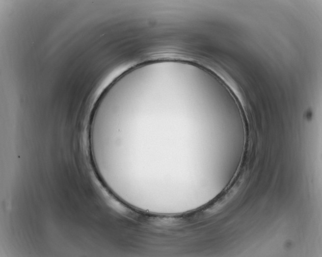 X0000102371293200808011015