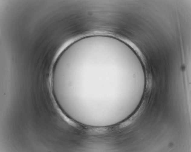 X0000102371294200808011015