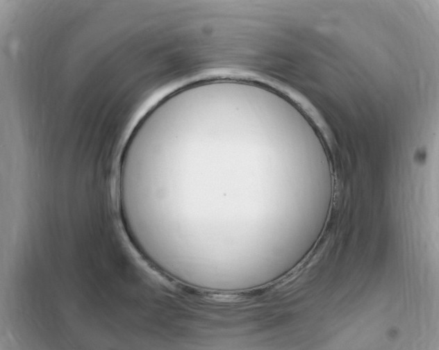 X0000102371295200808011015