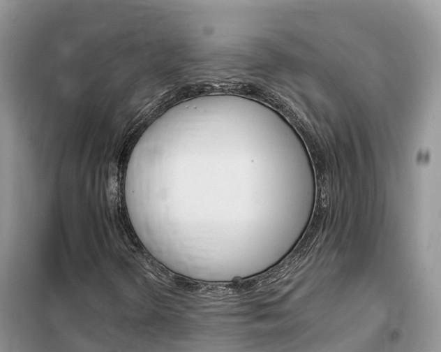 X0000102371298200808011014