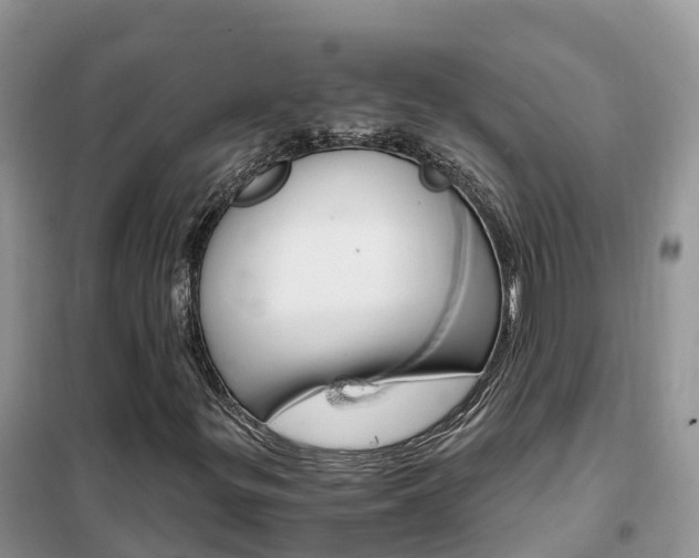 X0000102371299200808011014