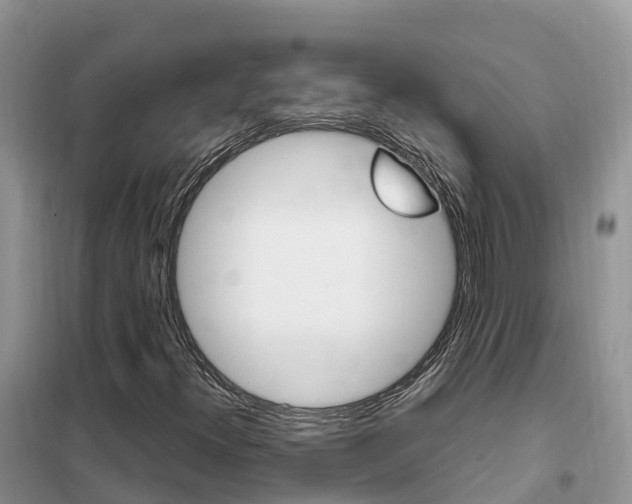 X0000102371300200808011014