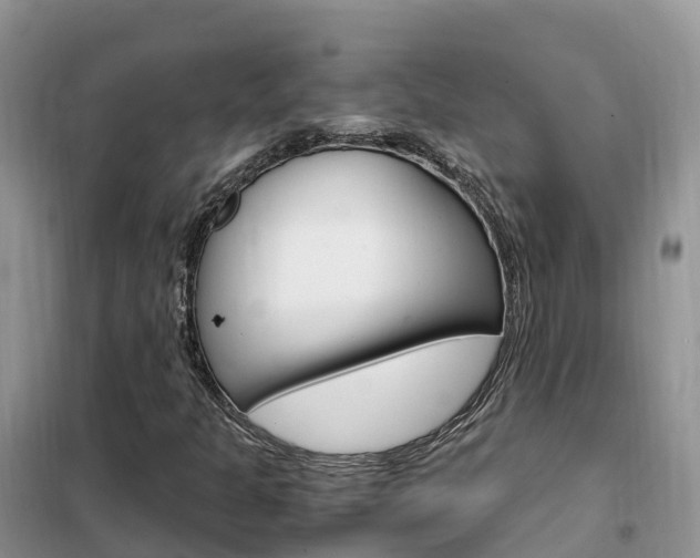 X0000102371301200808011014