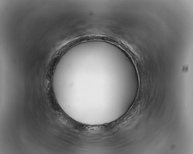 X0000102371303200808011014