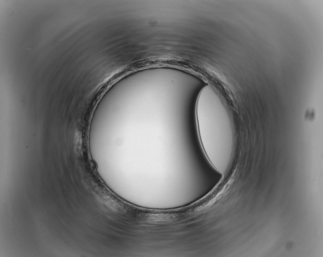 X0000102371305200808011014
