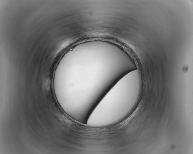 X0000102371306200808011014