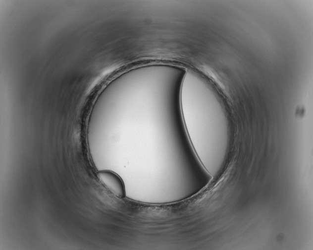 X0000102371307200808011014