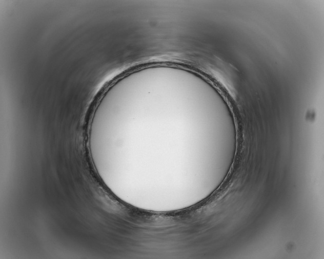 X0000102371308200808011014