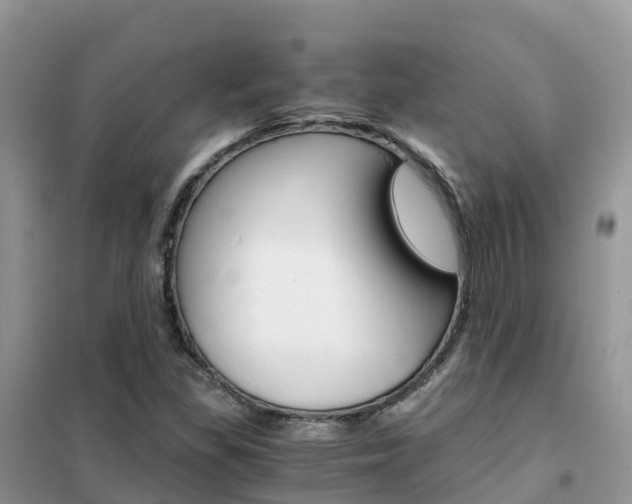 X0000102371309200808011014