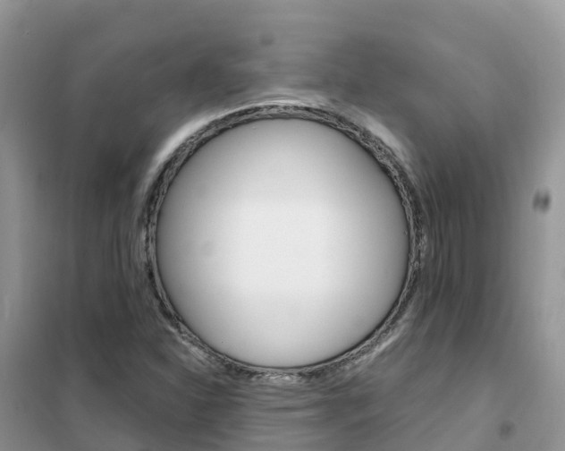 X0000102371310200808011014