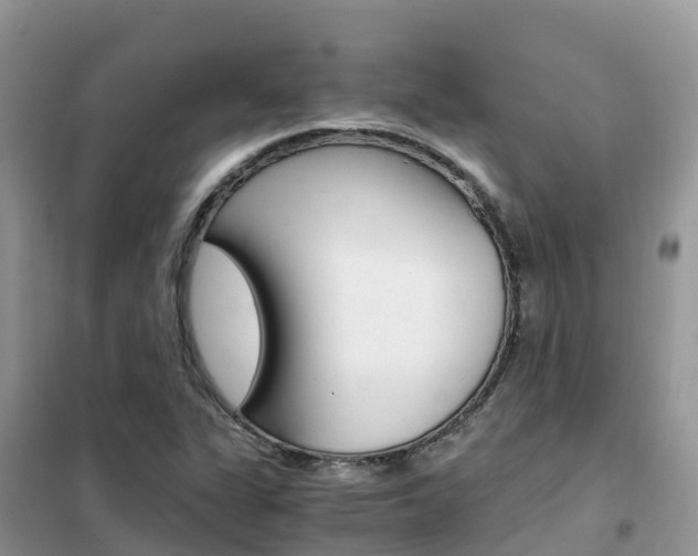 X0000102371311200808011014