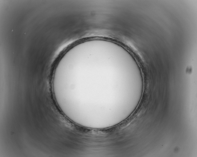 X0000102371312200808011014